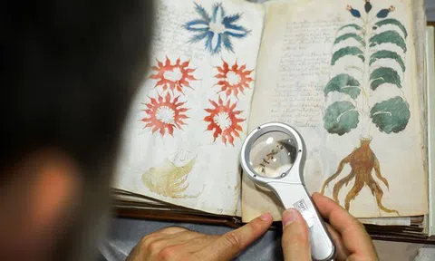 AI đã giải mã được bản thảo Voynich, bí ẩn 600 năm tuổi mà không ai có thể giải mã được?