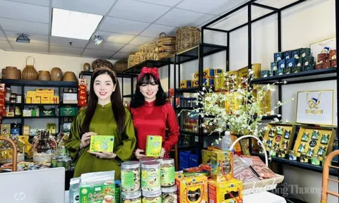 Thách thức về liên kết vùng, tính bền vững trong thương mại điện tử