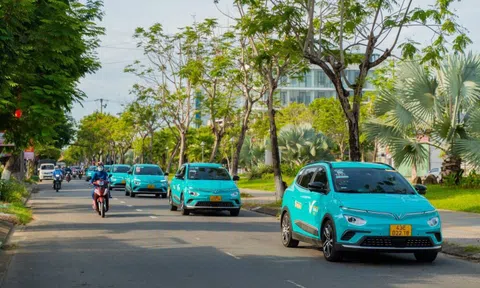 GSM triển khai chương trình "Mùa hè xanh vì tương lai xanh"