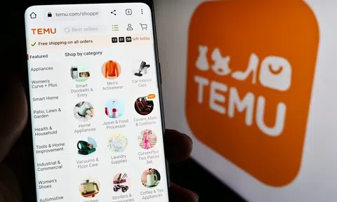 Điểm yếu chí tử khiến Temu dù "bán hàng rẻ như cho" cũng không thể thắng Shopee ở Việt Nam