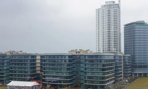 Đà Nẵng đưa công viên phần mềm gần 1.400 tỷ đi vào hoạt động