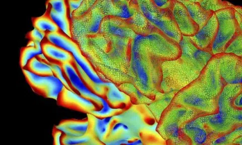 Công nghệ đột phá: Trí tuệ nhân tạo đọc được suy nghĩ con người