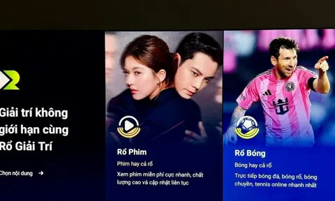 Cục trưởng Cục Sở hữu trí tuệ: Xử lý website lậu giống như 'đuổi hình bắt bóng'