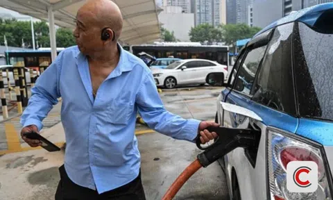 Khủng hoảng sinh kế 7,5 triệu tài xế công nghệ tại một quốc gia châu Á: Làm 14 tiếng/ngày chỉ để kiếm 10 triệu đồng/tháng, ế khách phải đánh bài giết thời gian