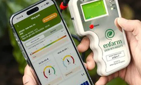 AI không còn để thử cho vui: 4 ứng dụng AI Việt phục vụ công việc từ làm web đến trồng trọt