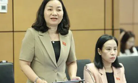 Đại biểu nêu bất cập khi dịch vụ công số "khai online vẫn phải nộp bản giấy"