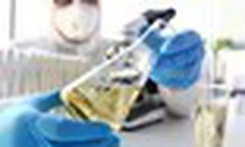 Sau nhiều năm, Nga tìm ra công thức để đuổi kịp châu Âu, biến thứ bỏ đi thành món hàng "đắt như tôm tươi"