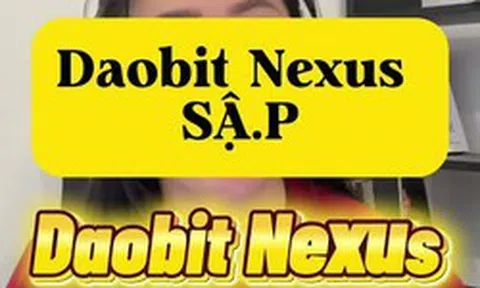 Ai là nạn nhân sập bẫy sàn tiền ảo Daobit-Nexus, liên hệ Công an TP.HCM gấp