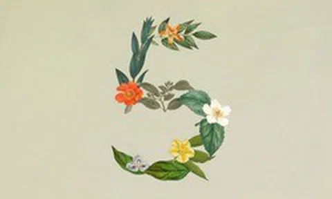 Anthropic ra mắt Claude Sonnet 5: Ngang ngửa Opus 4.8 nhưng giá chỉ bằng một nửa