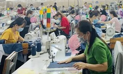Vì sao có tình trạng ‘thừa việc, thiếu người’ ở Cần Thơ?