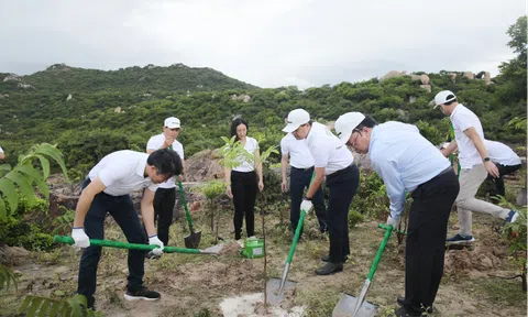 Panasonic khởi động chương trình trồng rừng “Sống khỏe góp xanh” chung sức trồng 1 tỷ cây xanh – vì một Việt Nam xanh