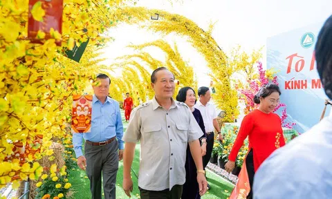 NGƯỜI DÂN KIÊN GIANG THÍCH THÚ CHỤP ẢNH BÊN ĐƯỜNG MAI DÀI NHẤT VIỆT NAM